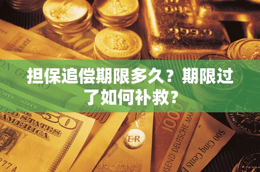济南担保追偿期限多久？期限过了如何补救？