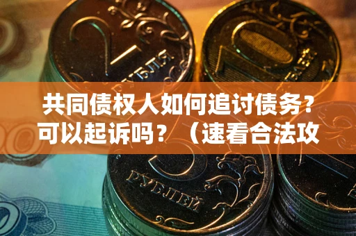 济南共同债权人如何追讨债务？可以起诉吗？（速看合法攻略）