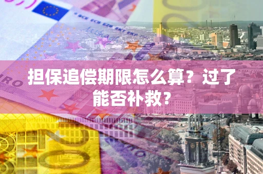 济南担保追偿期限怎么算？过了能否补救？